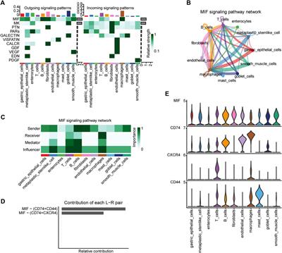 Identification of novel tumor microenvironment-associated genes in gastric cancer based on single-cell RNA-sequencing datasets